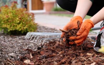 How to Choose the Best Mulch for Your Perth Garden