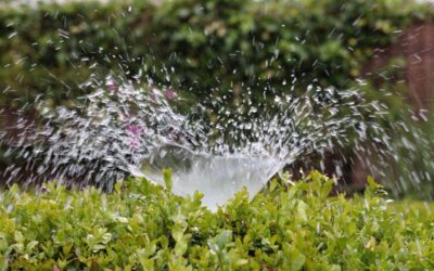 Drip vs Sprinkler Reticulation: Which Is Better for Your Garden