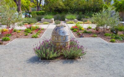 How to Build a Beautiful, Low-Maintenance Landscape for Your Rockingham Property