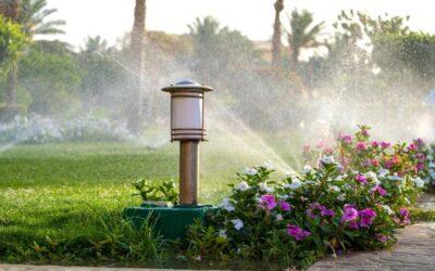 The Rise of Water-Wise Landscaping: Smart Ideas for Western Australian Homes