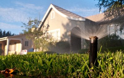 Choosing the Right Reticulation System for WA Homes: A Complete Guide